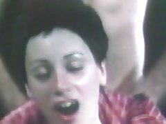 Fohy volo virijiny saribakoly